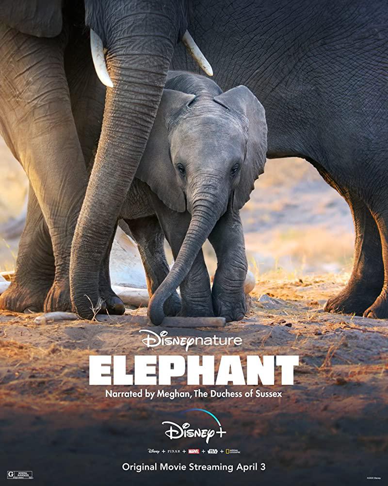  Elephant2020