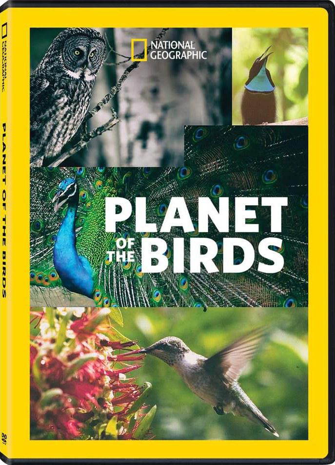  Planet of The Birds2018