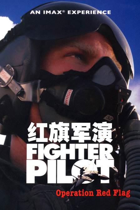  Fighter Pilot: Operation Red Flag2004