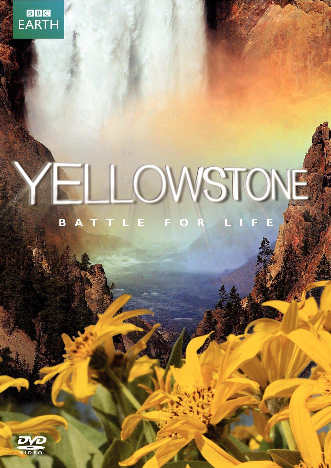 ʯ԰ Yellowstone2009
