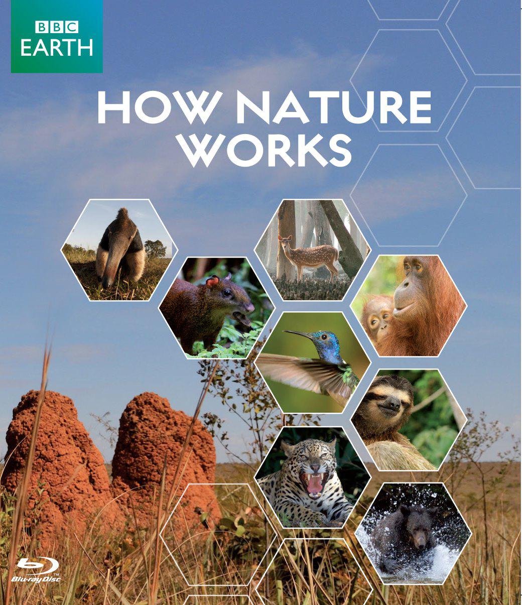 Ȼ How Nature Works2012