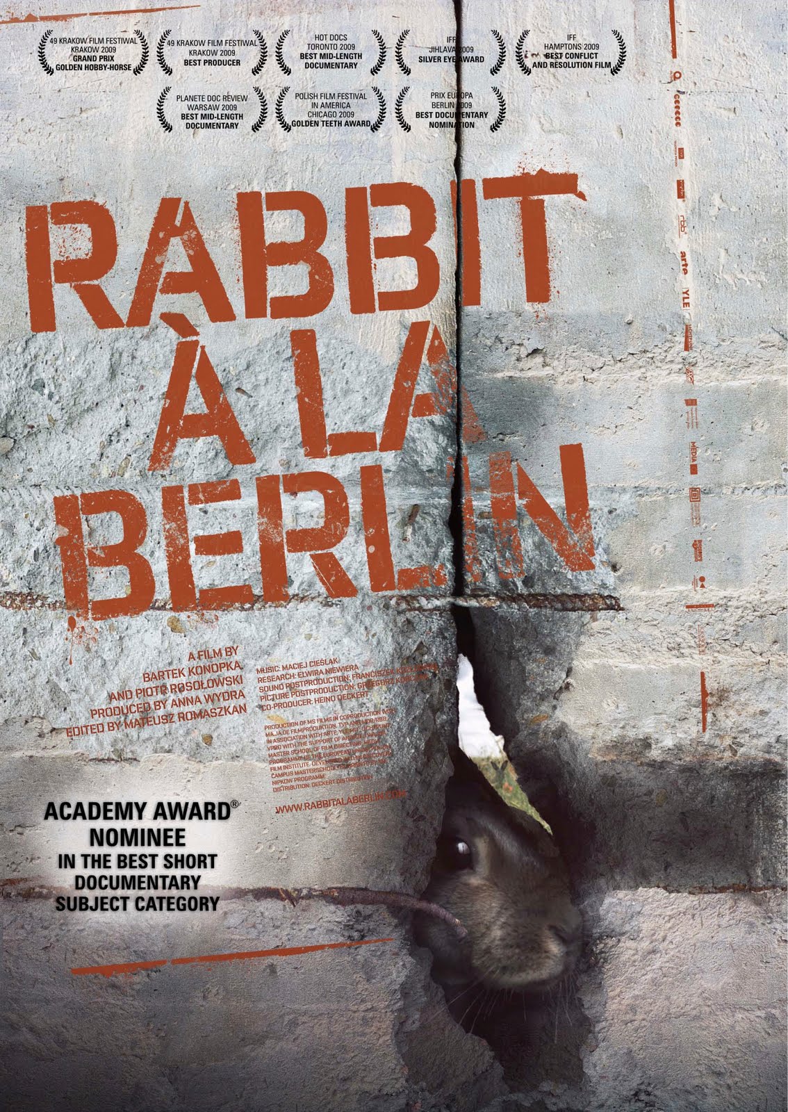 ǽҰ Rabbit  la Berlin2009