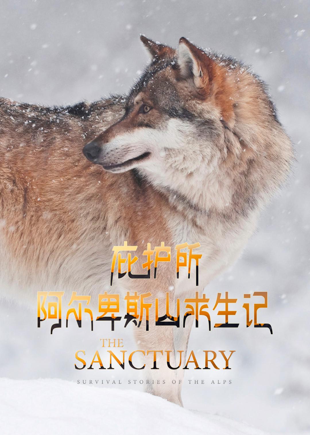 ӻ˹ɽ The Sanctuary: Survival Stories of the Alps2020