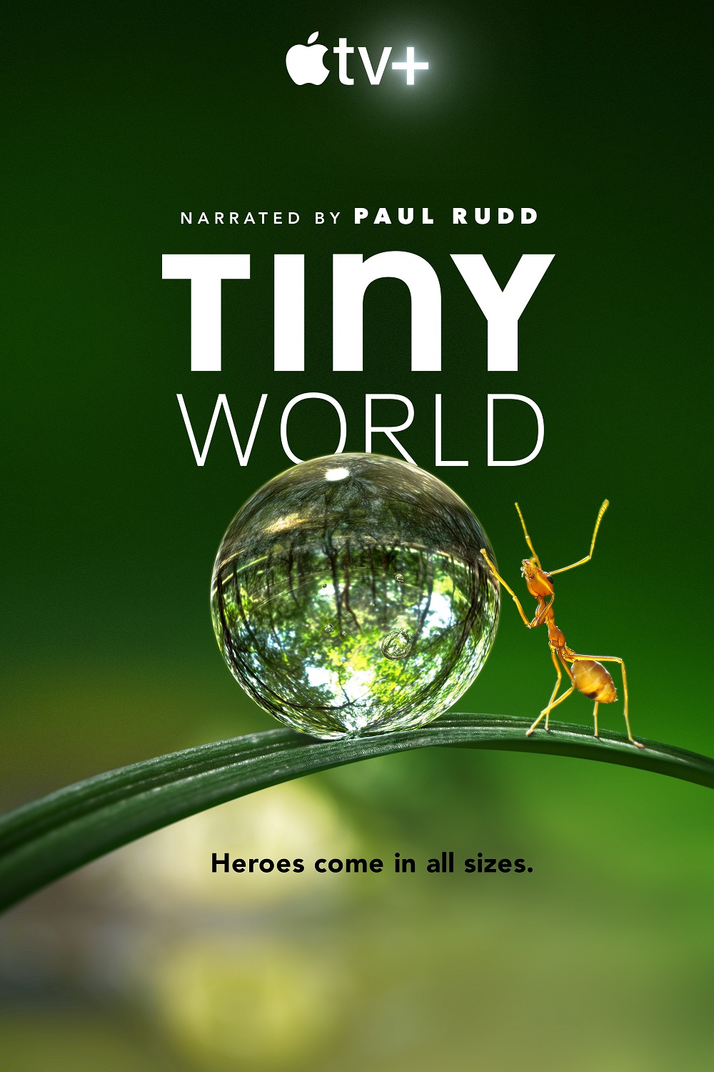 СС Tiny World2020