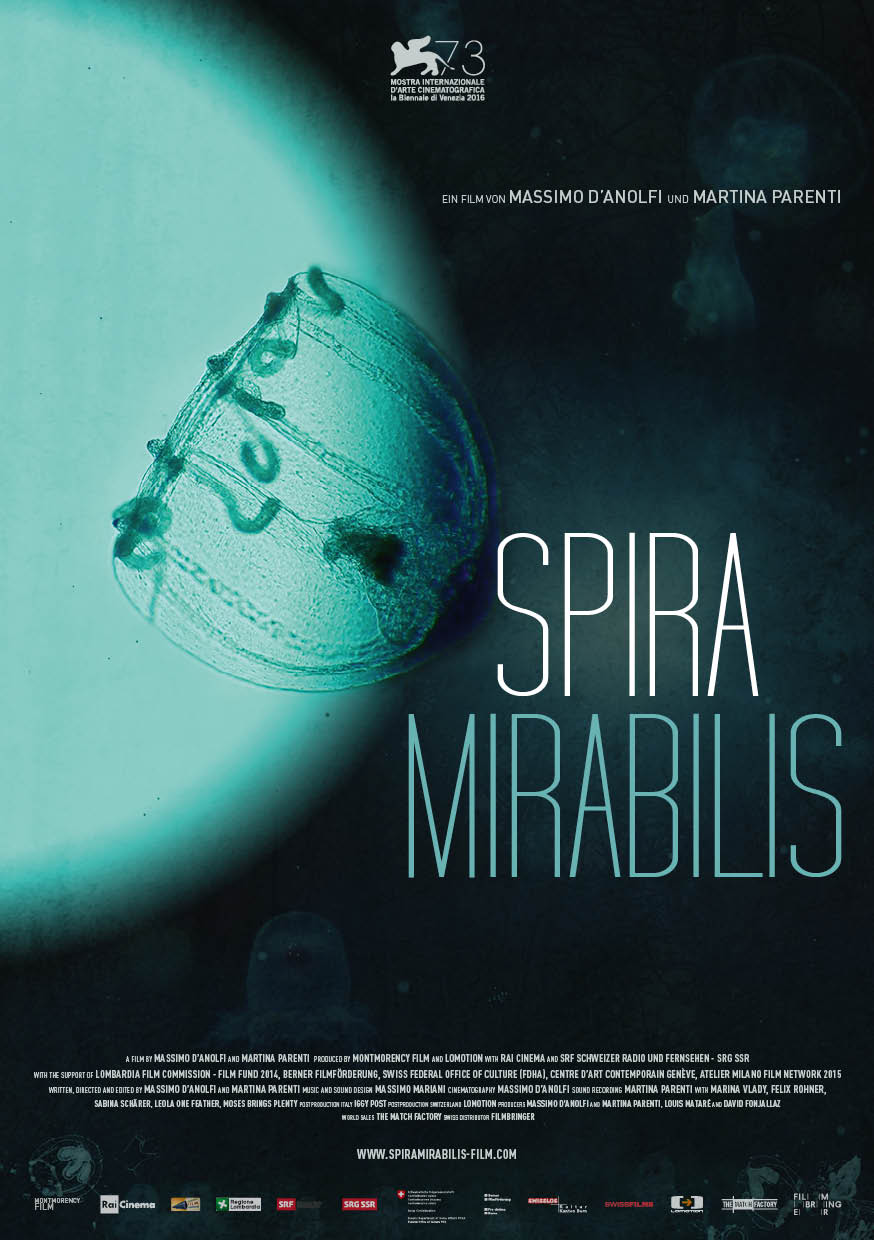  Spira mirabilis2016