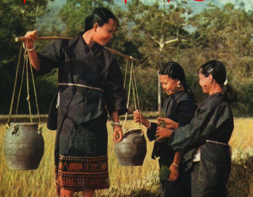 1962꣬ϵֶص