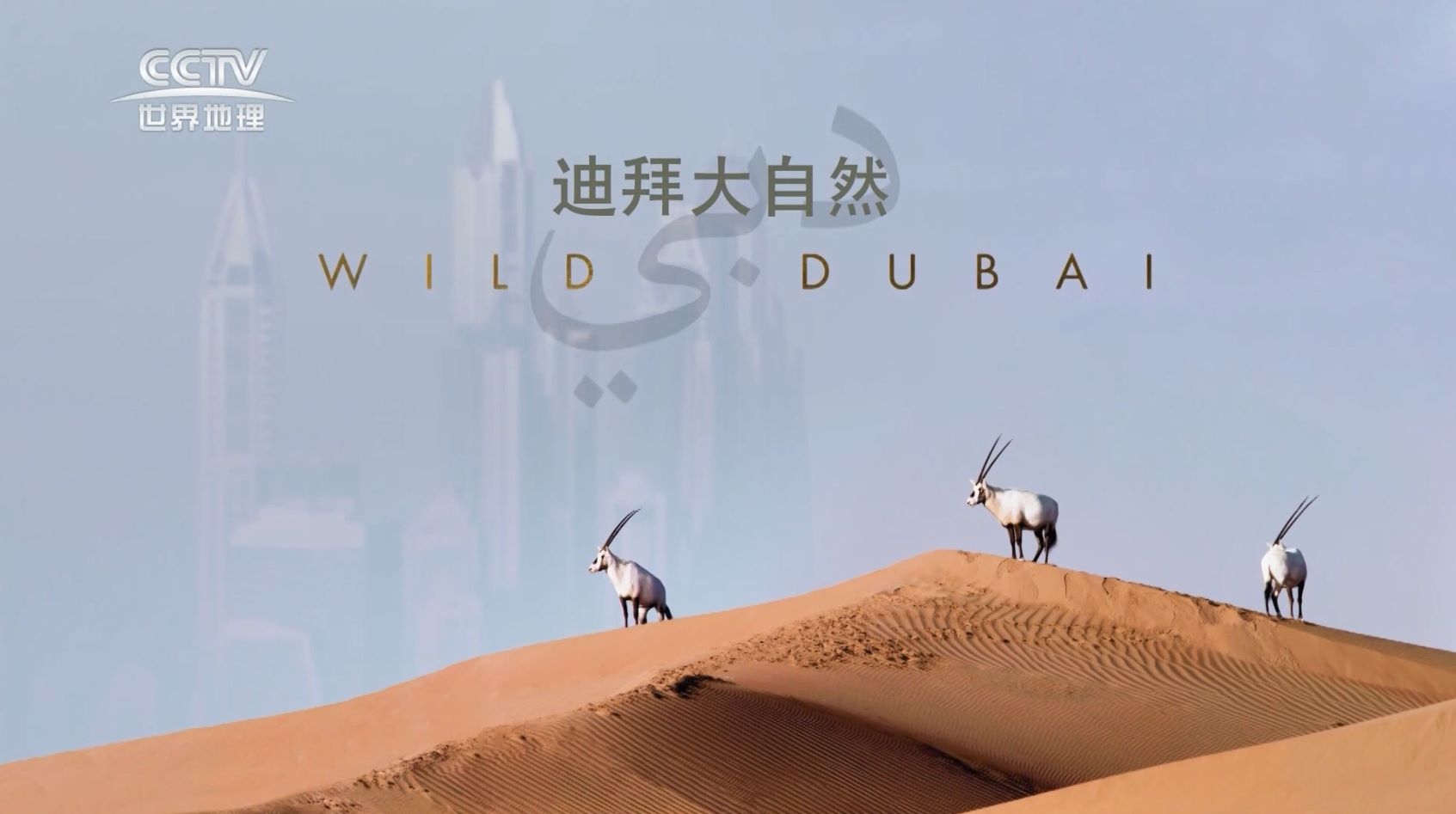 ҰԵϰ Wild Dubai (2019)